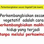 Cara Perkembangbiakan Geragih Atau Stolon